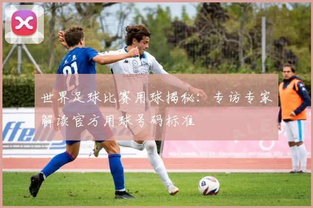 世界足球比赛用球揭秘:专访专家解读官方用球号码标准