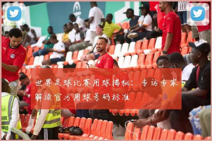 世界足球比赛用球揭秘:专访专家解读官方用球号码标准